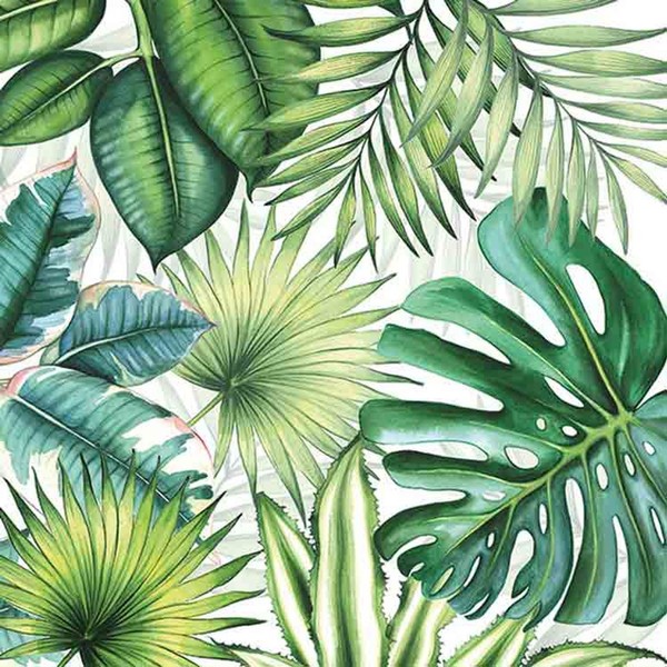 20 Servietten BläTter Tropen Dschungel Tropical Leaves 3-Lagig 33X33Cm Tissue Ur-image
