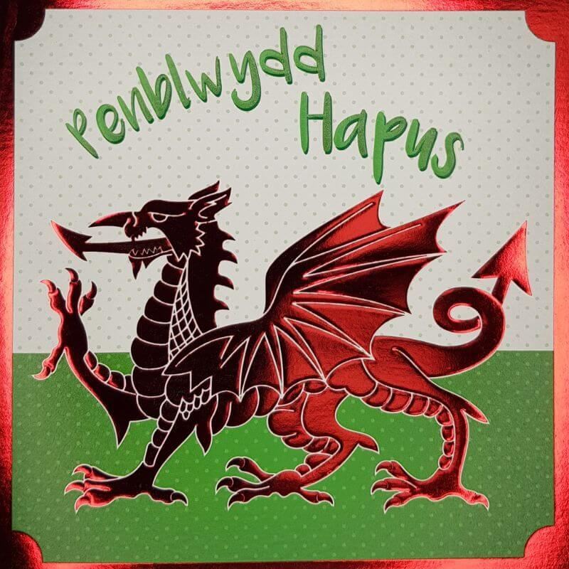Pili Pala Welsh Penblwydd Hapus Birthday Greetings Card with Envelope