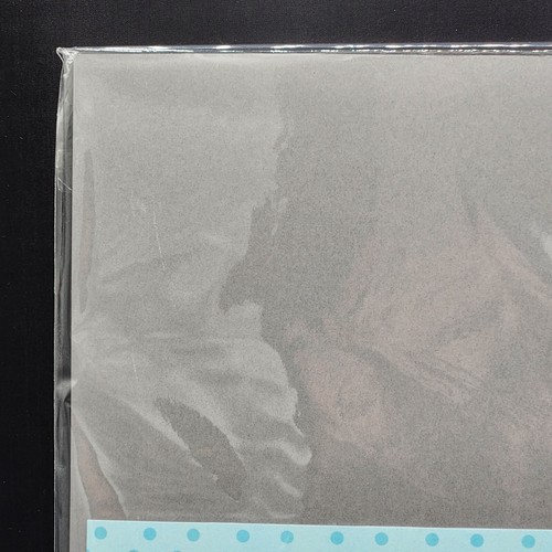 Taylored Expressions TE Earl Grey Gray Cardstock 15 Sheets New 8 1/2 X 11 Paper - Picture 8 of 9