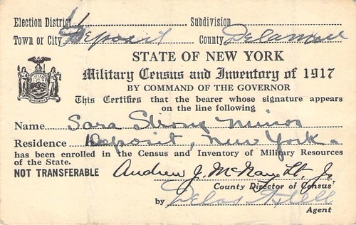 1917 MILITARY CENSUS INVENTORY NEW YOK STATE SARA STRONG MINOR