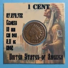 1902  1 cent Indian Head Penny #202