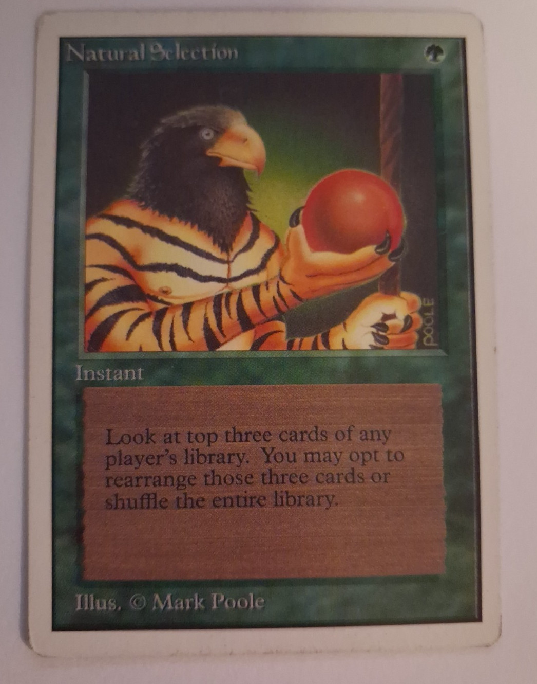 Natural Selection MP / HP Unlimited MTG Magic the Gathering