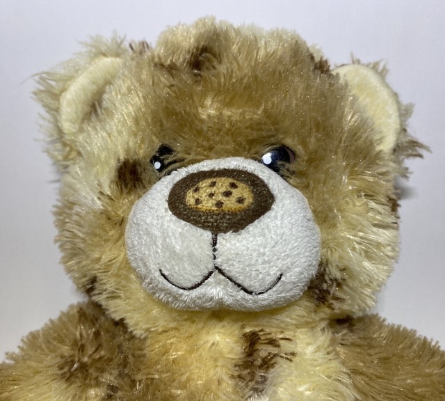 Build A Bear Chocolate Chip Cookie Dough Teddy Dairy Queen Blizzard Ice