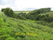 Photo 6x4 The valley of Rowley Burn Rawgreen  c2008