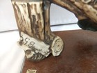 Bild 6 von 10