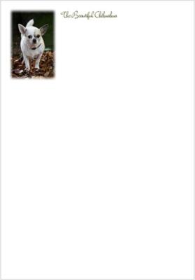 Briefschreibpapier ''Herbst Chihuahua'' - A5 100 g/m² / liniert/ungefüttert