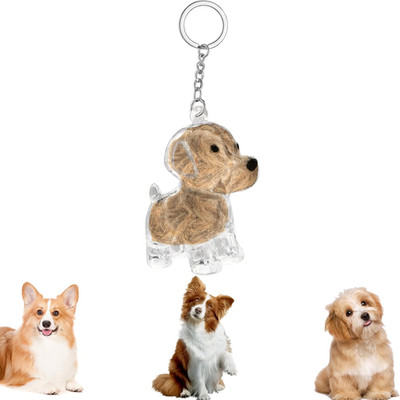 Hundehaarsammler-Schlüsselanhänger, Charm-Gedenk-Aufbewahrungsbox, Transparente 