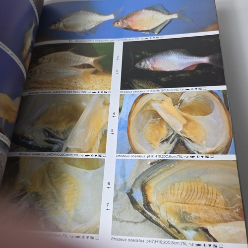 Dr Axelrod’s Atlas of Freshwater Aquarium Fishes Guide Identification 11th Ed HB - Picture 13 of 19