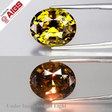 AIGS CERTIFIED 9.01ct IF Oval Natural Color Change Chrysoberyl - Alexandrite