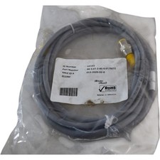 NEW TURCK Eurofast RK 4.6T-2-RS 4.6T/S672 Actuator and Sensor Cable  Extension C