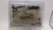 2024 Topps Allen & Ginter #BUZ-13 Yellow Jacket Buzzin' Insert Card