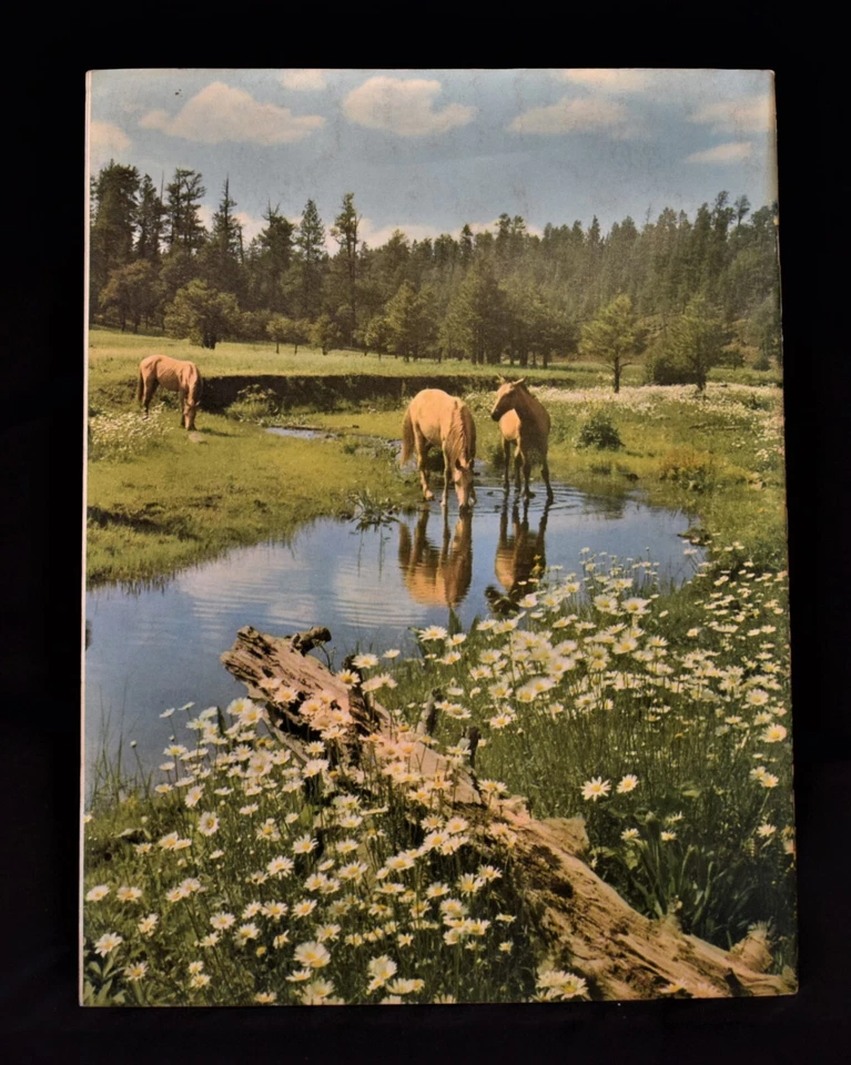 Vintage Arizona Highways Magazine - Coronado Trail ~ August  1963 - Image 2 of 4