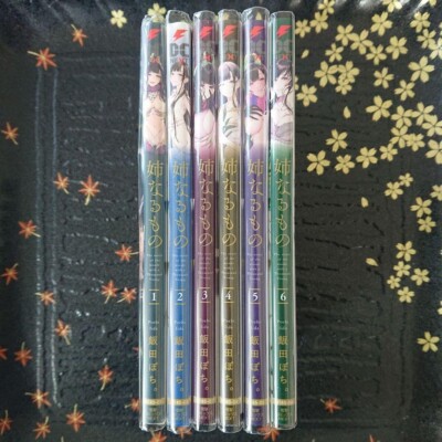 Pochi Iida Goya The Elder Sister Like One Art Book Ane Naru Mono full complete