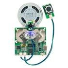 USB Sound Recording & Playback Module with Speaker