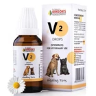 Homoeopathy Veterinary V-2 Stomach Drops Indigestion Pets Dogs Cats Gut Health