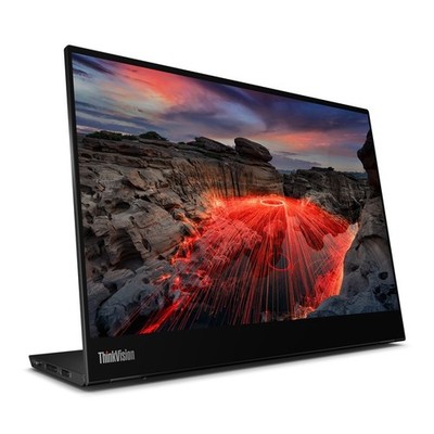 Lenovo ThinkVision M14T Mobiler 14'' Monitor - IPS / Touchscreen