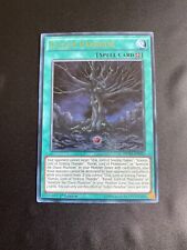 Fallen Paradise DUSA-EN031 Ultra Rare Yu-Gi-Oh Card English 1st Edition Mint New