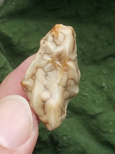 31mm Natural Gobi Agate veins agate/stone,suiseki-viewing collection china - Picture 7 of 12