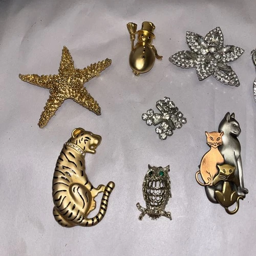 Mixed VTG Costume Jewelry Lot-9 Brooches-1 Earrings- 2 Necklaces 12 Pieces Lot