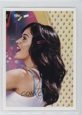 2025 Panini Unofficial Pop-Stars Album Stickers Teenage Dream! Katy Perry 5m1
