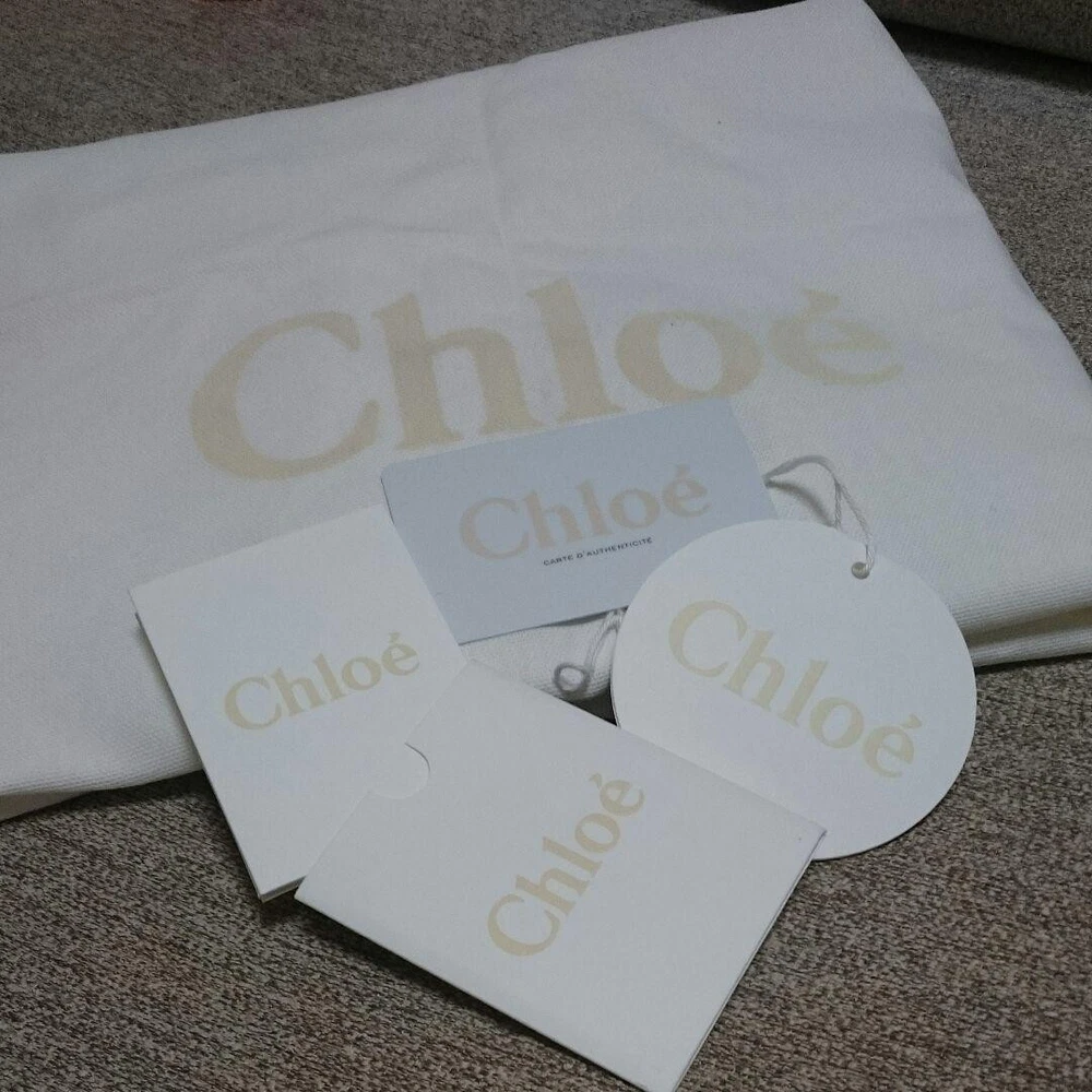 Chloe Chylan Stylish Tote Storage Bag for Everyday Use