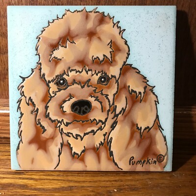 【jumelle】poodle bit coat jumelle】poodle bit coat