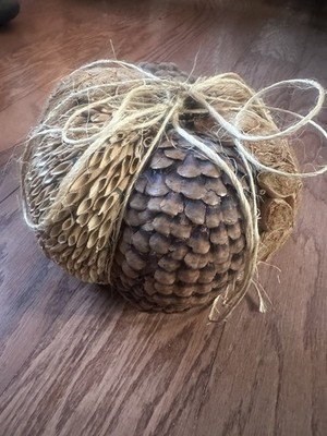Collectibles Pinecone/Reed/Stem Slice Holiday Pumpkin, Dry Natural Accents,6 x8 