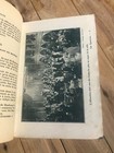 Picture 5 of 6