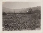 WW1 Signal Corps 1918 Advancing Rifle Grenades Argonne 30th Reg 77th Div Photo