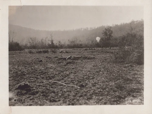 WW1 Signal Corps 1918 Advancing Rifle Grenades Argonne 30th Reg 77th Div Photo