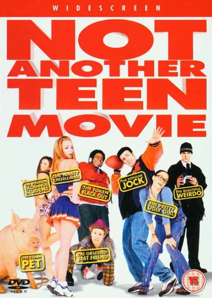 Not Another Teen Movie DVD