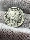 1913 Type 1 Higher Grade 3/4 Horn Buffalo Nickel -  Better Date US Coin!