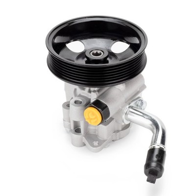 LuluViolen Power Steering Pump with Pulley 6PK Compatible with 1115 Durango, ...