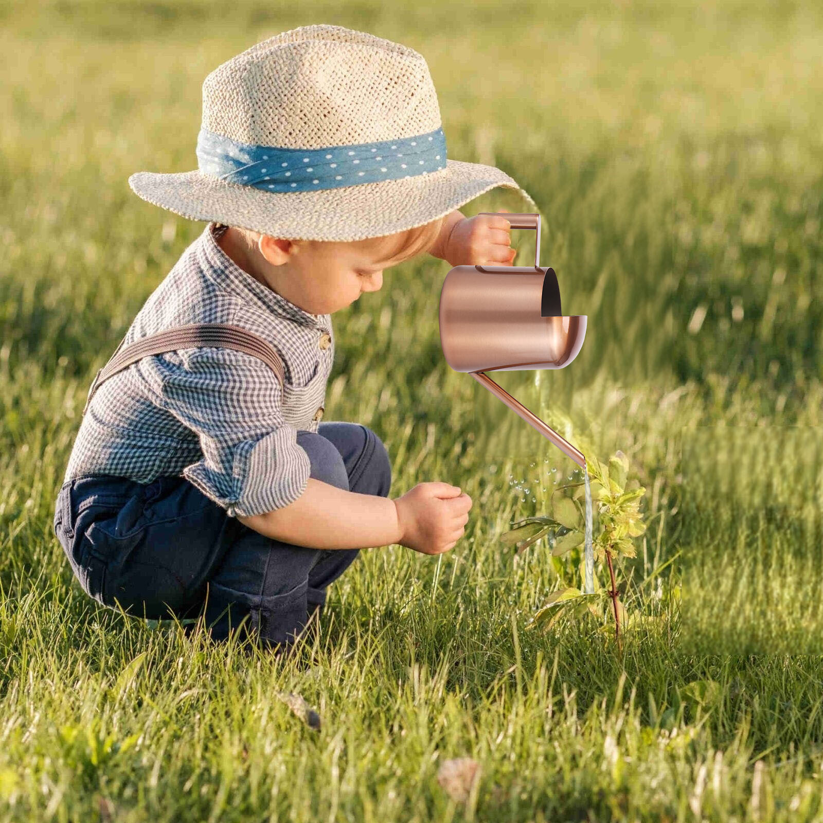 Mini Watering Can for Indoor Plants 300ml Stainless Steel Watering Pot