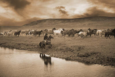 Sombrero Herd by Barry Hart Fine Art Print Horse Ranch Farm Cowboy Poster 18x26