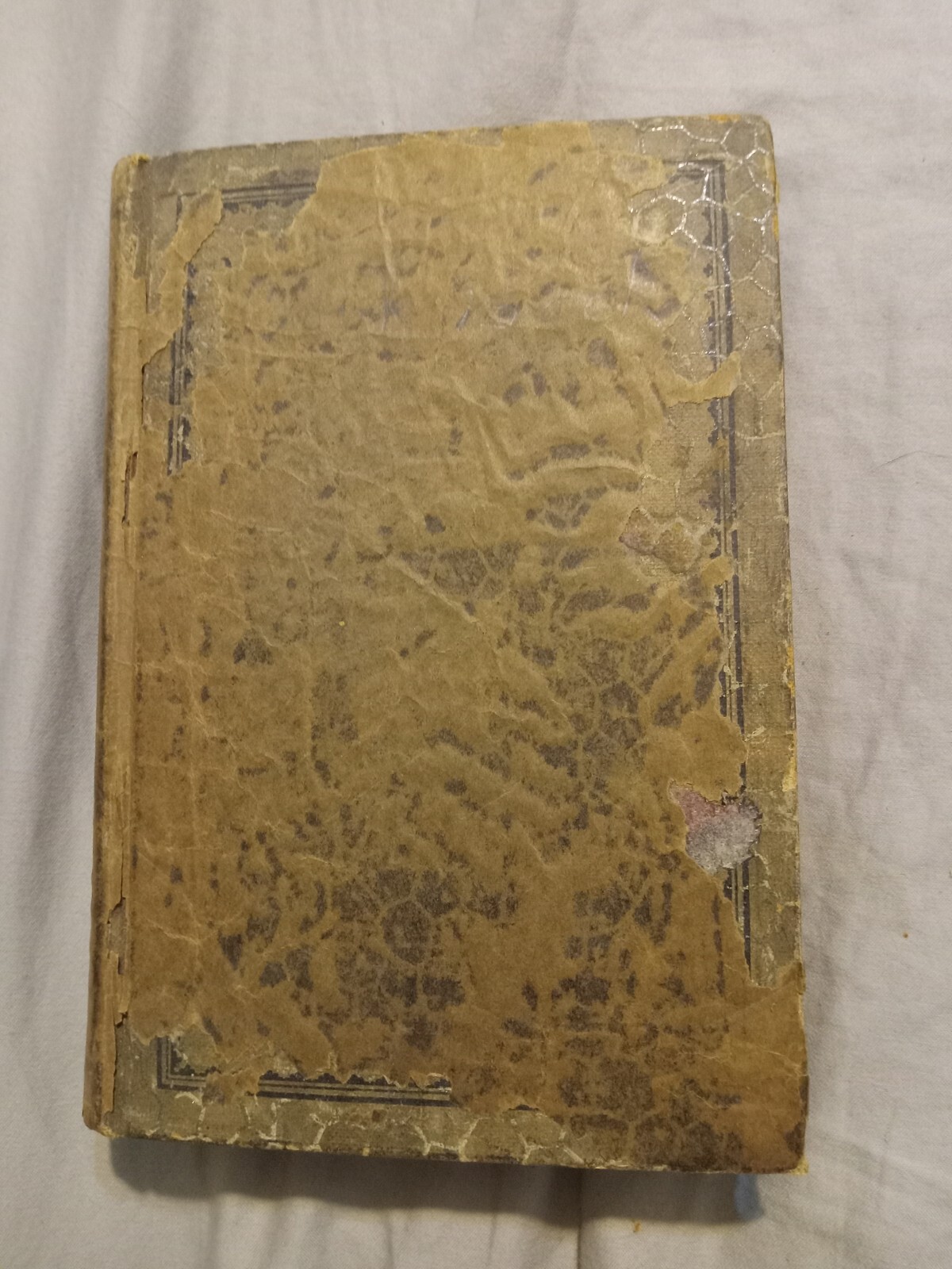 Modern Priscilla Cook Book 1924 Special Subscription Edition