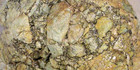 Brecciated Jasper Agate, Solid Rough Lapidary Specimen, 6 LBS, 6 OZ, #R334 — photo 1