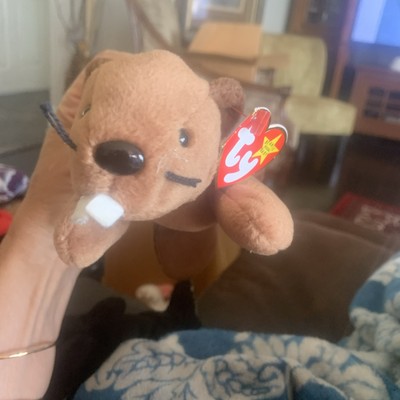 TY 1995 BUCKY the BEAVER BEANIE BABY - MINT with MINT TAGS