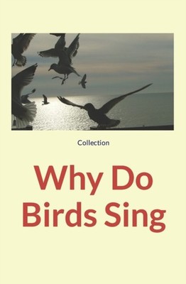 Nature and Human Stu - Why Do Birds Sing - New paperback or softback - X555z
