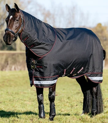 LeMieux Pro Sport STÜTZSTIEFEL Sportmedizin Dressur Schule Wahlbeteiligung Wraps