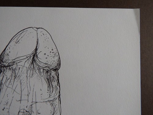 Pen & Ink Hand Drawn Penis Anatomical Illustration NSFW Male Nude Phallus - Picture 10 of 16