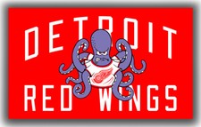 Detroit Hockey Team Memorable Flag 90x150cm 3x5ft Wings Mascot BestRed Banner