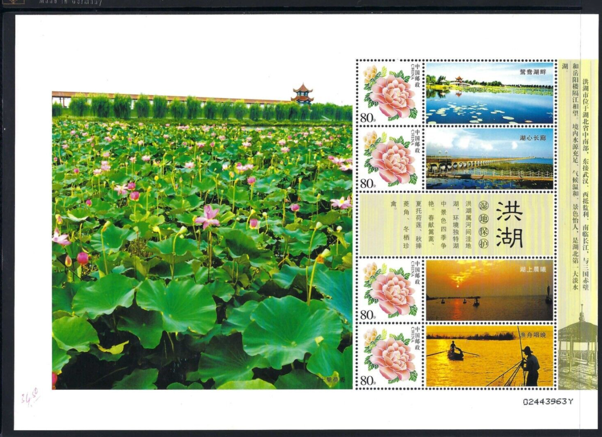 CHINA 4v Special Sheet Honghu Lotus Flowers Lake Stamp | eBay CHINA 4v Special Sheet Honghu Lotus Flowers Lake Stamp | eBay