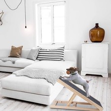 Dog Ramp for High Beds, Couches  Cars - Adjustable Foldable Pet Stairs, Ligh...