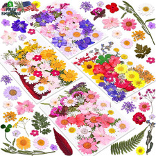 140 Pcs Dried Pressed Flowers for Resin, Real Pressed Flowers Dry Leaves Bulk Na