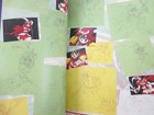 Picture 9 of 9