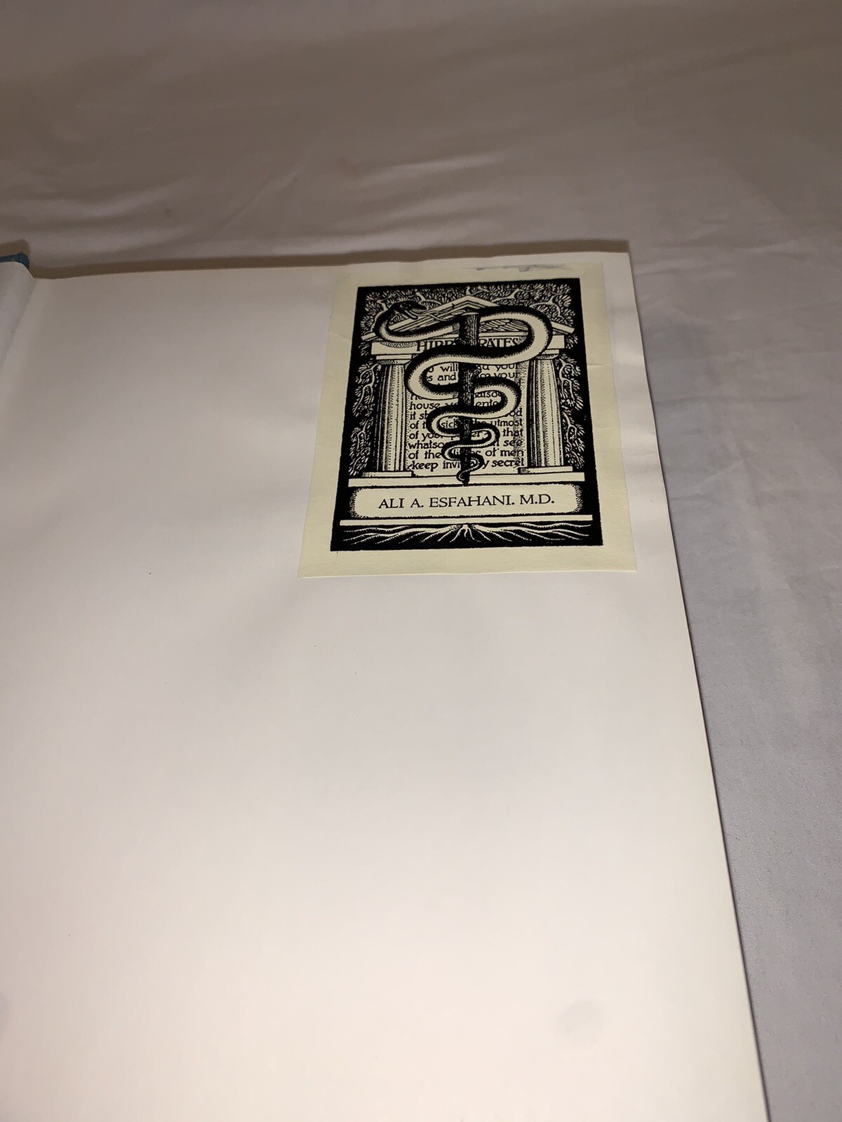 Picture 6 of 12