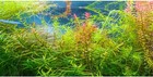 Bild 19 von 42