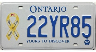 99 CENT SALE Ontario SUPPORT OUR TROOPS License Plate #22YR85 No Reserve