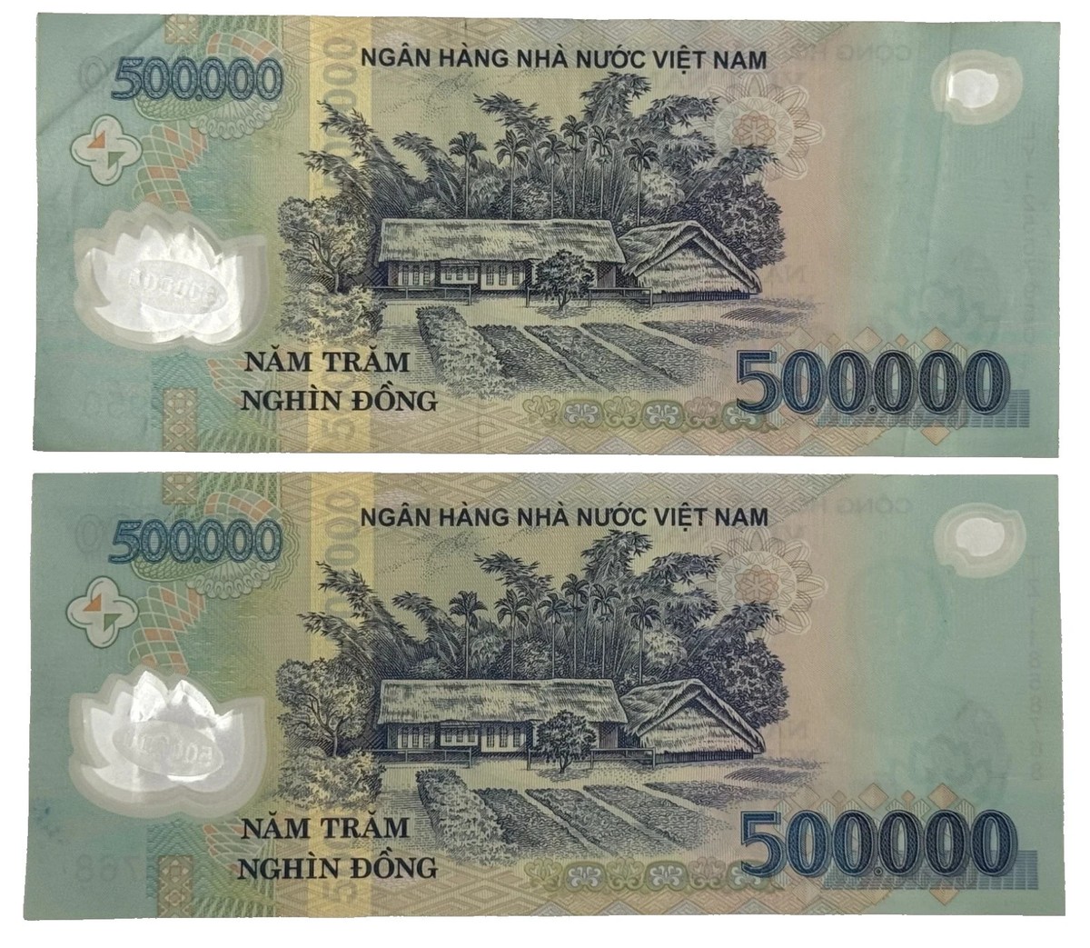非現行　ベトナム紙幣　旧紙幣5000000 5 MILLION VIETNAMESE DONG | 5,000,000 VND | VIETNAM MONEY | VND